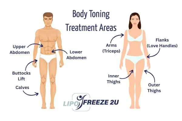 Graphic showing where you can have Body toning Treatment Huntingdon on your body